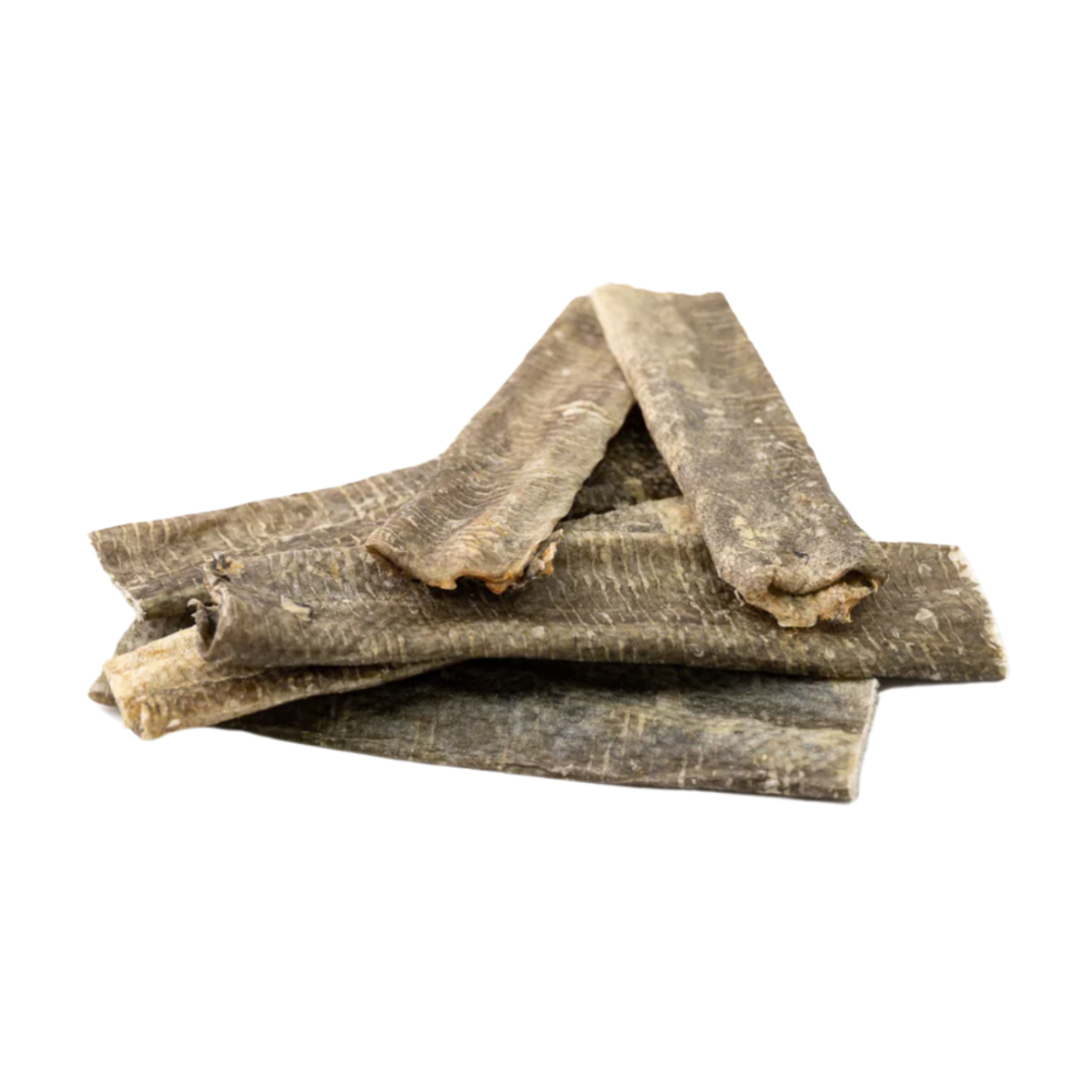Fish Skin Thins