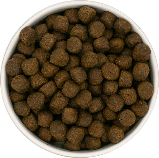 Dog & Jones Grain Free Large Breed Salmon For Puppies