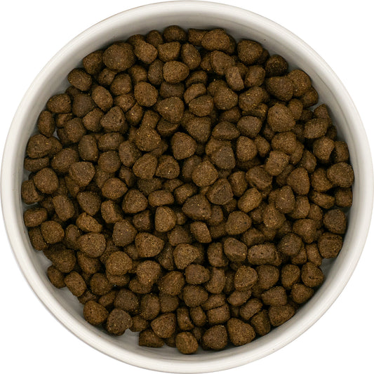Dog & Jones Superfood Angus Beef For Puppies