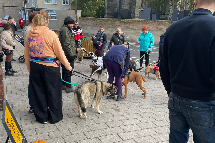 THE BIGGEST GROUP HOWL-O-WEEN DOG WALK🎃👻🐾