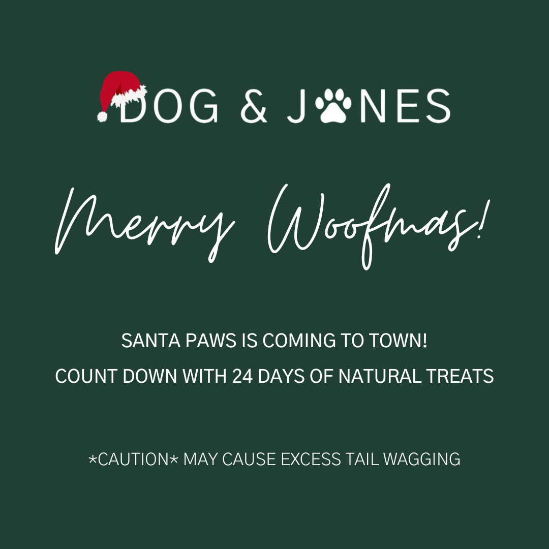 IT'S TIMEEEEEE! Pre order your doggy advent calendar now & save!