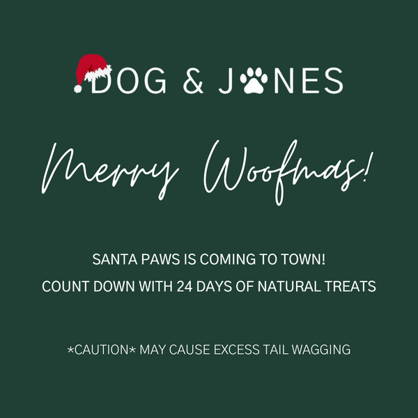 IT'S TIMEEEEEE! Pre order your doggy advent calendar now & save!