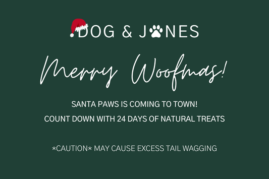 Dog & Jones Natural Dog Treat Advent Calendar 2024
