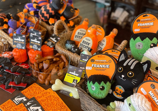 10 Best Halloween Goodies For Your Dog This Spooky Season