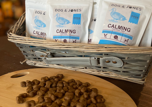 How to Reduce Your Dog's Anxiety this Firework Season