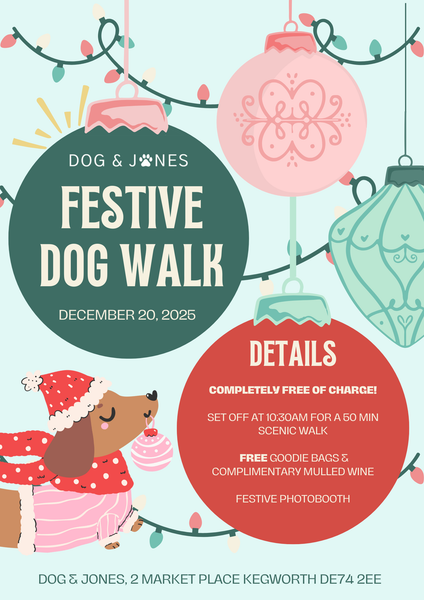 Group Festive Dog Walk🎄⭐️