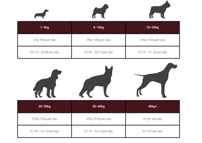 Dog & Jones Grain Free Beef For Adult Dogs