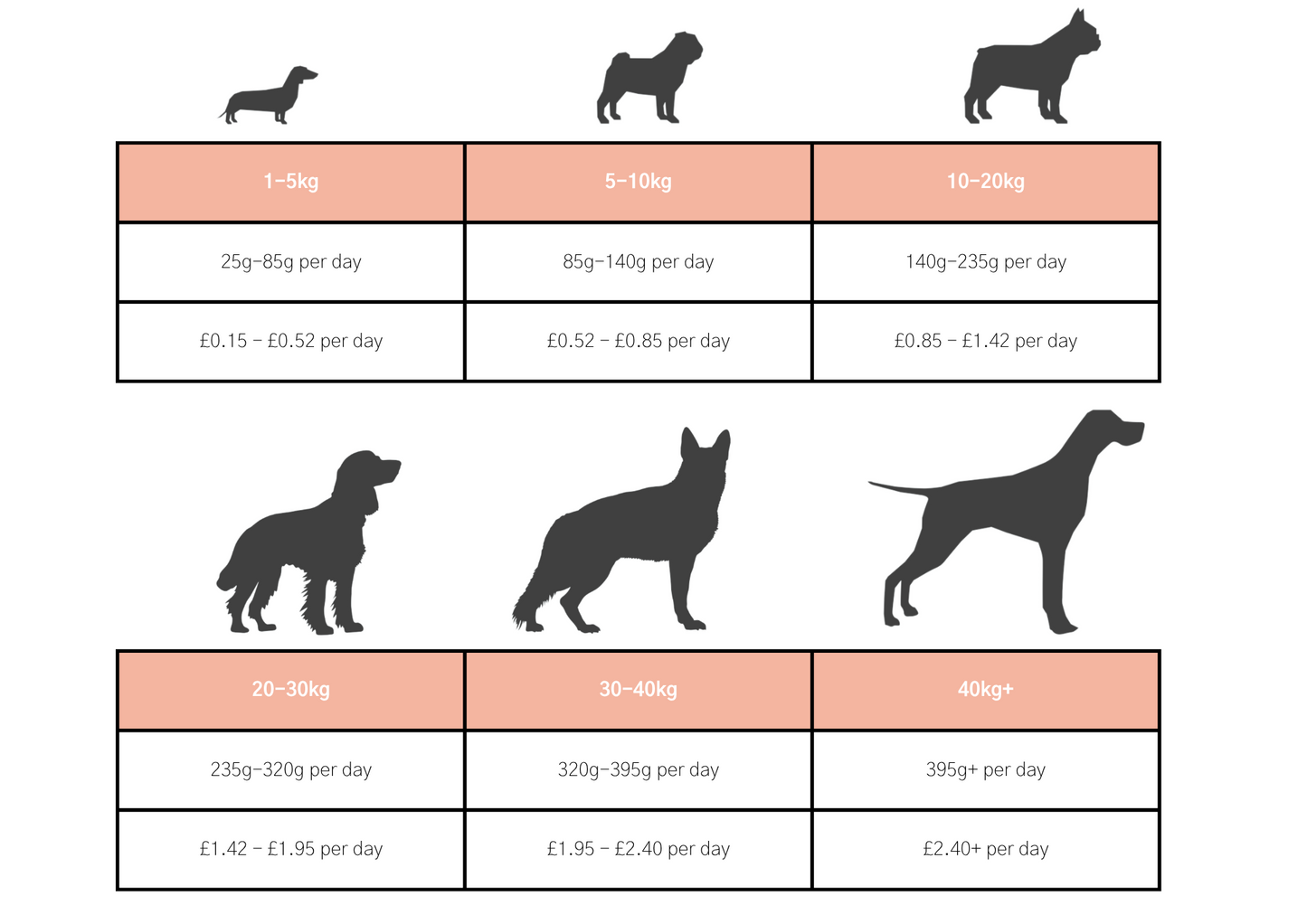 Dog & Jones Superfood Scottish Salmon For Adult Dogs