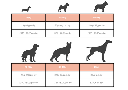 Dog & Jones Superfood Scottish Salmon For Adult Dogs