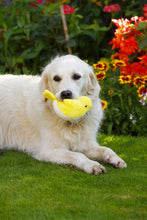 Load image into Gallery viewer, PetFace Buddies Leah Little Bird Plush Toy

