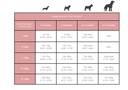 Dog & Jones Grain Free Salmon For Puppies