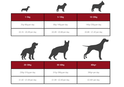 Dog & Jones Superfood Angus Beef For Adult Dogs