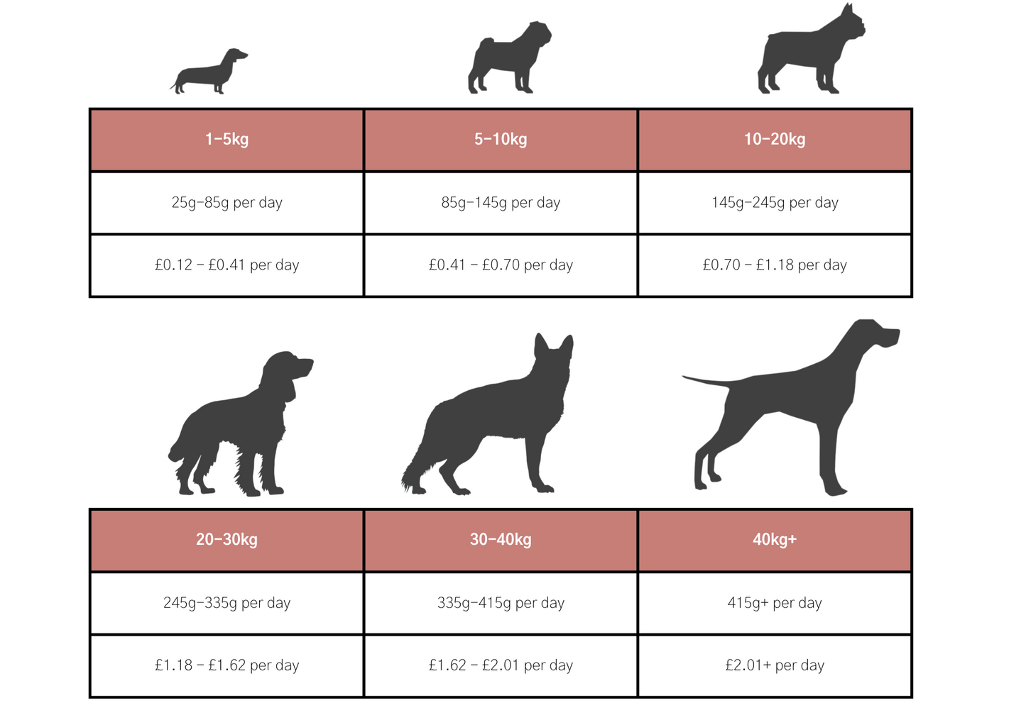 Dog & Jones Grain Free Salmon For Adult Dogs