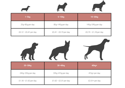 Dog & Jones Grain Free Salmon For Adult Dogs