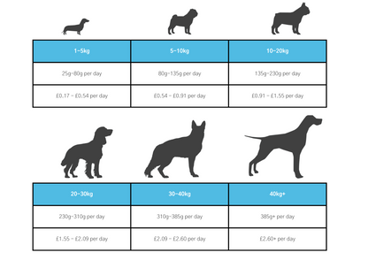 Dog & Jones Superfood British Turkey For Adult Dogs