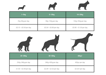 Dog & Jones Grain Free Tuna For Adult Dogs