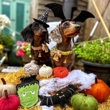 Load image into Gallery viewer, Green &amp; Wilds Count Batula Eco Dog Toy
