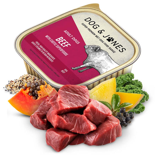 Beef with Exotic Superfoods for Adult Dogs
