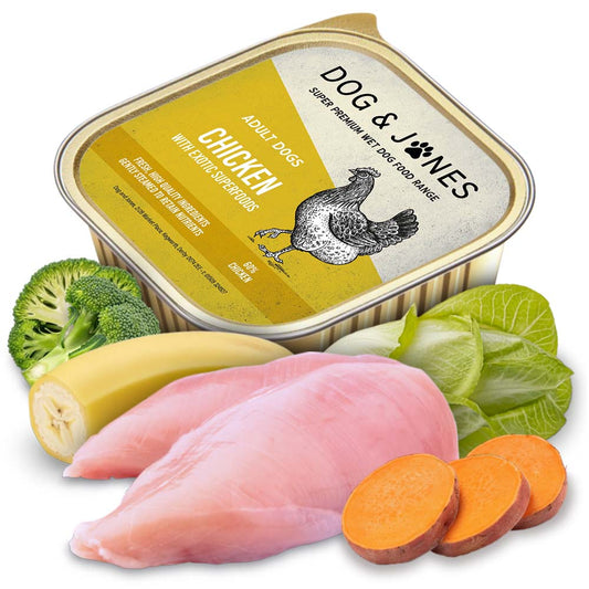 Chicken with Exotic Superfoods for Adult Dogs