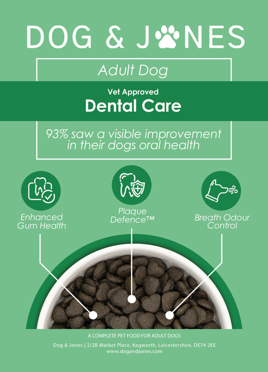 Dog & Jones Health Dental Care