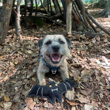 Load image into Gallery viewer, Green &amp; Wilds Count Batula Eco Dog Toy
