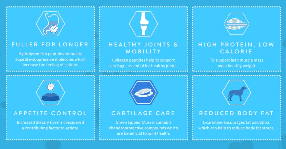 Dog & Jones Health Weight Control & Joint Care