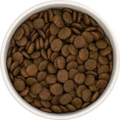 Dog & Jones Grain Free Turkey For Adult Dogs