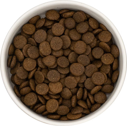 Dog & Jones Grain Free Rabbit For Adult Dogs