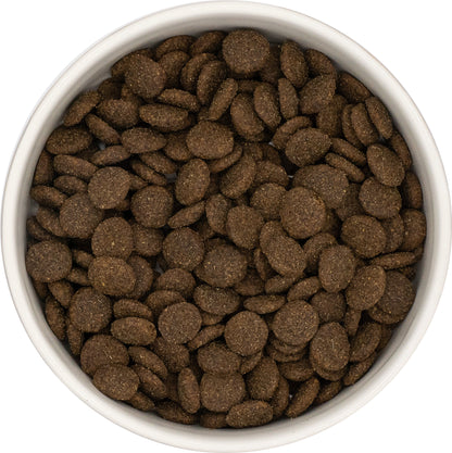 Dog & Jones Grain Free Lamb For Adult Dogs