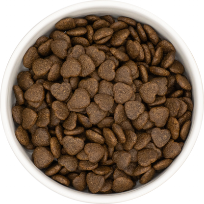 Dog & Jones Health Healthy Living