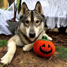Load image into Gallery viewer, Green &amp; Wilds Patch the Pumpkin Eco Dog Toy

