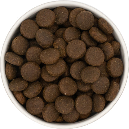 Dog & Jones Grain Free Large Breed Turkey For Adult Dogs