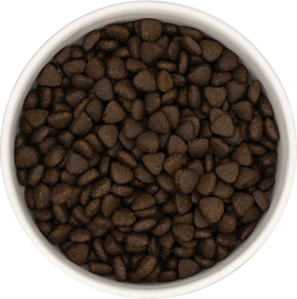 Dog & Jones Superfood Small Breed Scottish Salmon For Adult Dogs