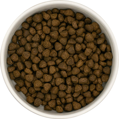 Dog & Jones Superfood Angus Beef For Puppies