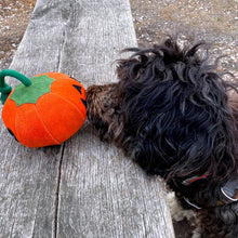 Load image into Gallery viewer, Green &amp; Wilds Patch the Pumpkin Eco Dog Toy
