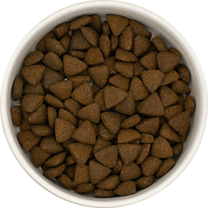 Dog & Jones Superfood British Turkey For Adult Dogs