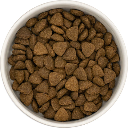 Dog & Jones Superfood Angus Beef For Adult Dogs