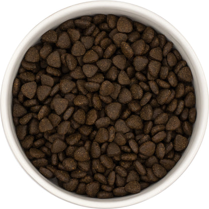 Dog & Jones Superfood Scottish Salmon For Puppies