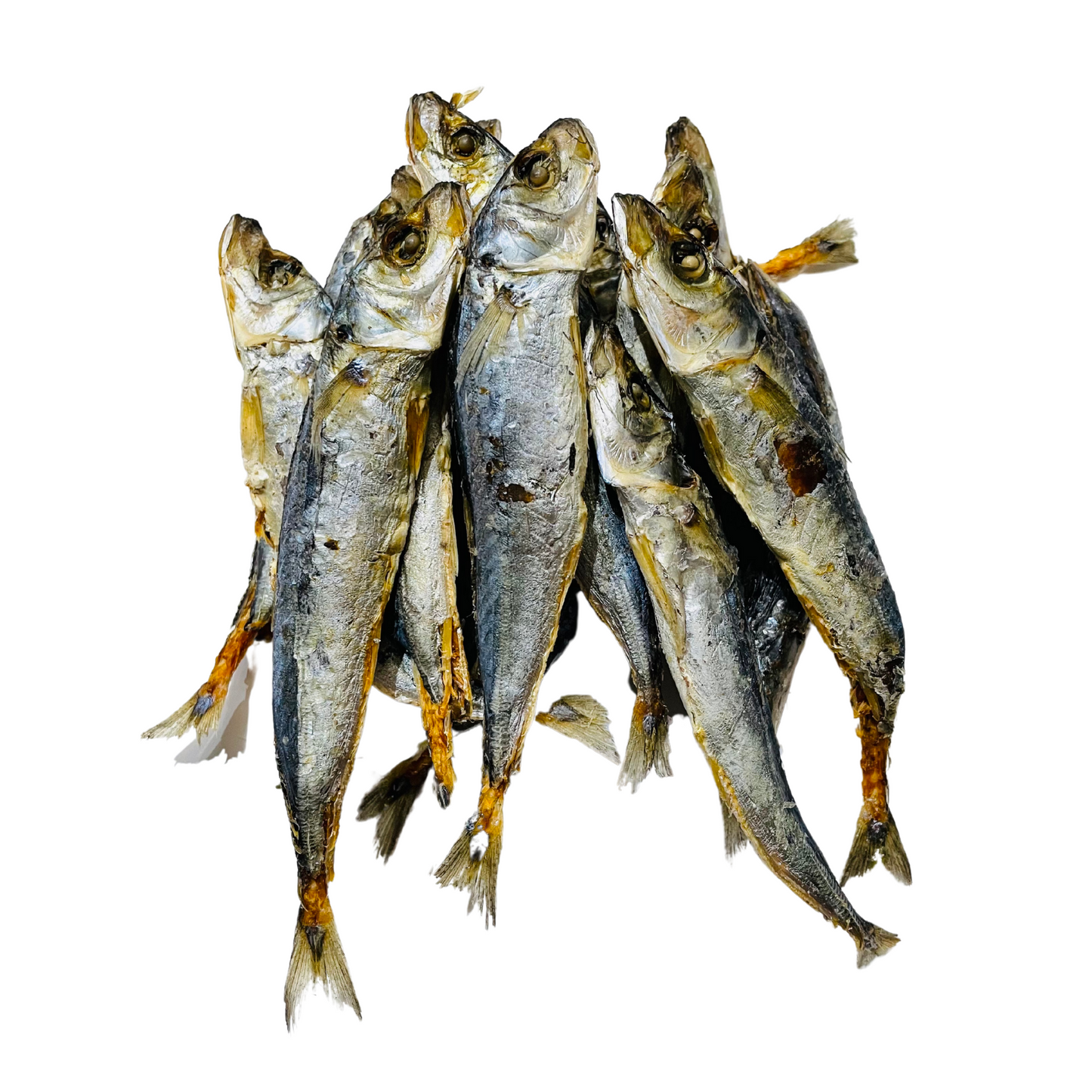 Baltic Sprat