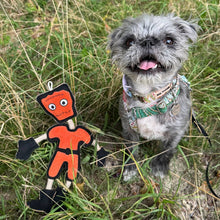 Load image into Gallery viewer, Green &amp; Wilds Frankie Stein Eco Dog Toy
