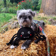 Load image into Gallery viewer, Green &amp; Wilds Fangus the Spider Eco Dog Toy
