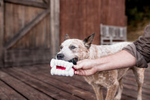 Load image into Gallery viewer, P.L.A.Y Howling Haunts Barky&#39;s Bite
