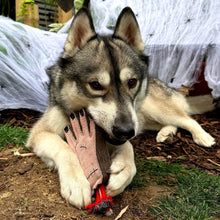Load image into Gallery viewer, Green &amp; Wilds The Hand Eco Dog Toy
