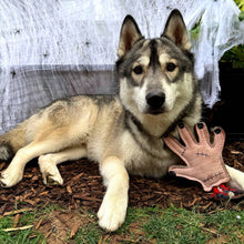 Load image into Gallery viewer, Green &amp; Wilds The Hand Eco Dog Toy
