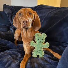 Load image into Gallery viewer, Green &amp; Wilds Bogeyman Eco Dog Toy
