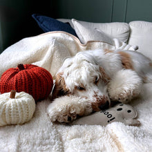 Load image into Gallery viewer, Green &amp; Wilds Boo Hoo Ghost Eco Dog Toy
