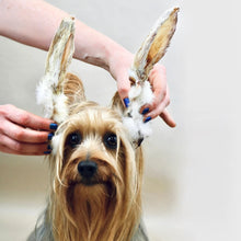 Load image into Gallery viewer, Rabbit Ears- With Fur
